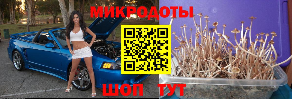 Галлюциногенные грибы MAGIC MUSHROOMS  Псилоцибиновые грибы мицелий  Орск  Вход с VPN 