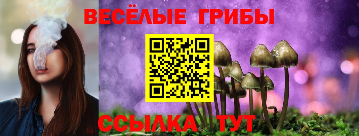 Галлюциногенные грибы Cubensis Орск